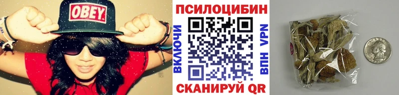 Псилоцибиновые грибы MAGIC MUSHROOMS  цена   Зверево 